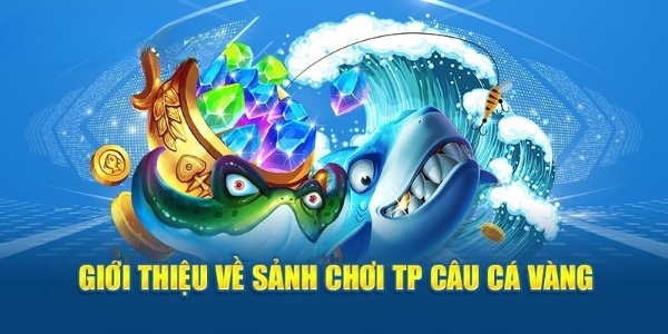 Giới thiệu về sảnh chơi thu hút